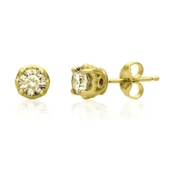 Yellow Diamond & Garnet Stud Earrings In